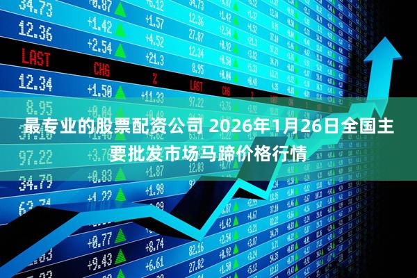 最专业的股票配资公司 2026年1月26日全国主要批发市场马蹄价格行情